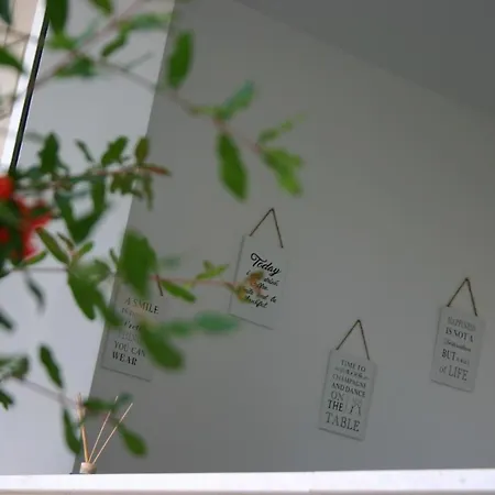 公寓 Next Door Maro & Ivan 奈维斯